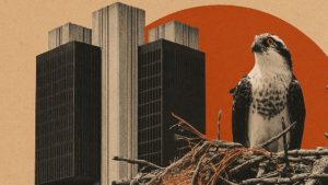 Analistas alertam que BC deve evitar reações mais intensas que o mercado