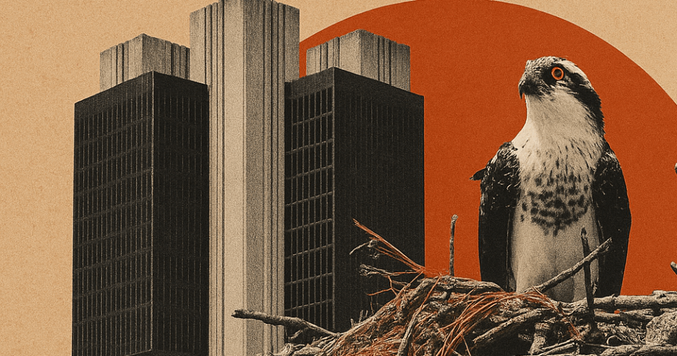 Analistas alertam que BC deve evitar reações mais intensas que o mercado