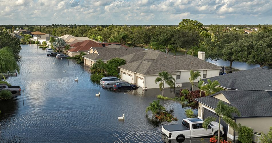 Análise de contratos de seguro residencial revela padrões de compartilhamento de risco